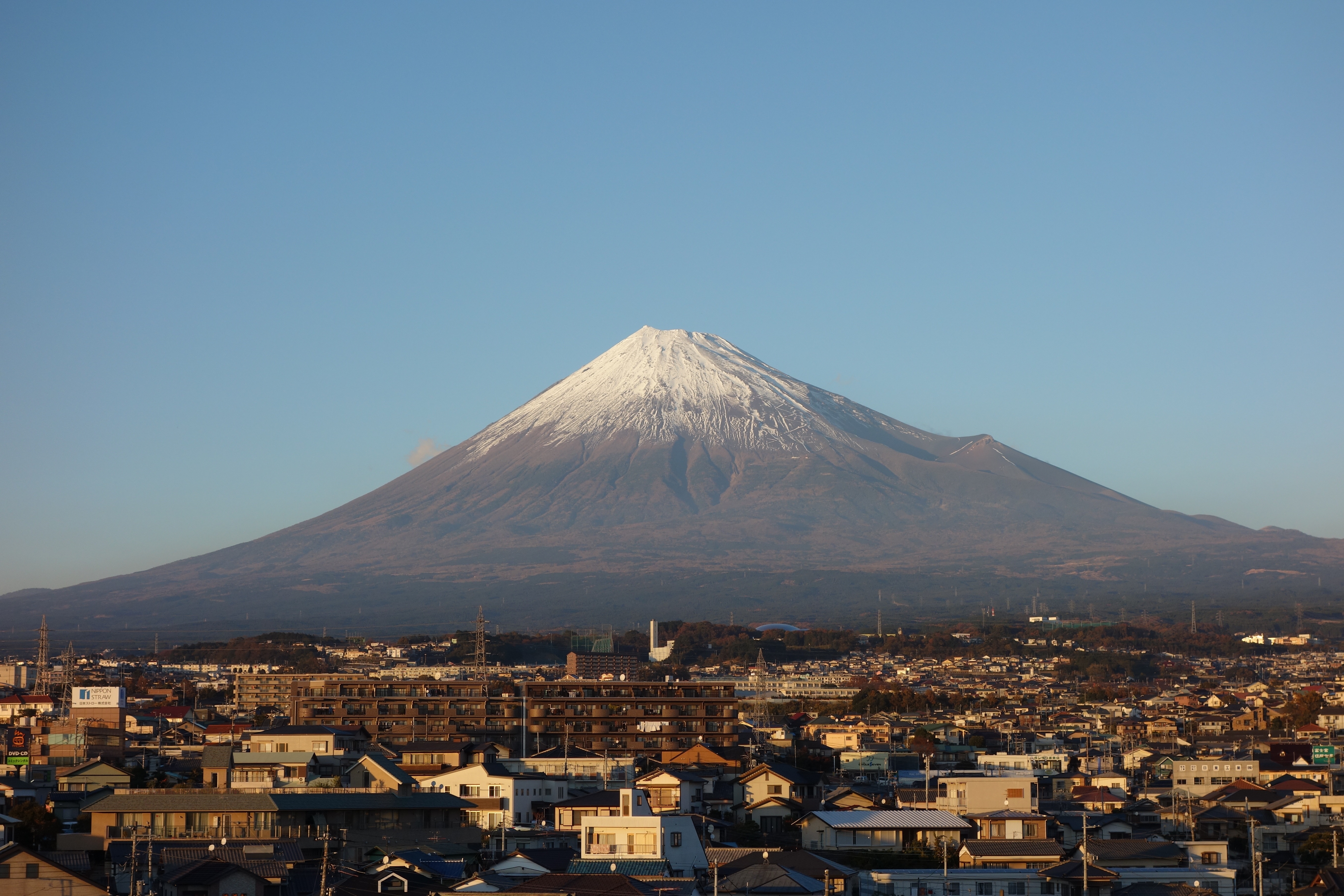 Students preparing to study in Japan
